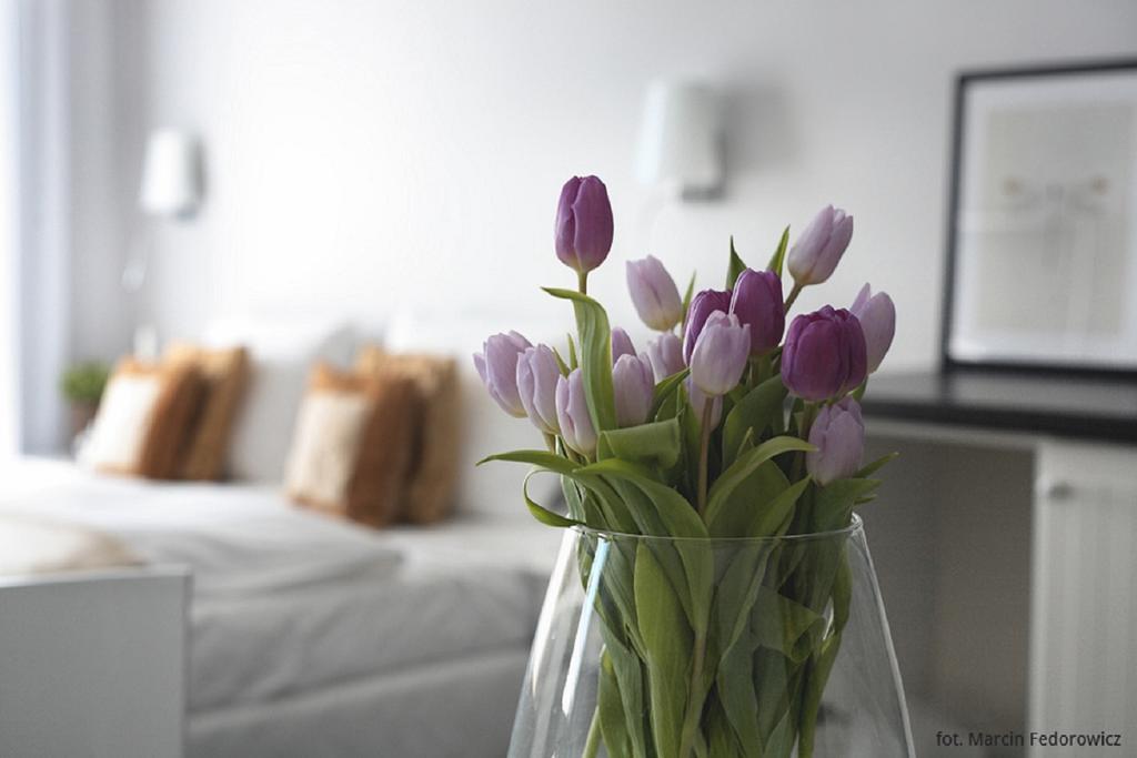 Hotel Amber Suite & Spa - Enklawa Dla Doroslych (Adults Only) เมียนซีวอเจีย ภายนอก รูปภาพ